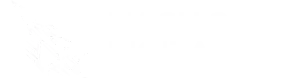 Design Kapital